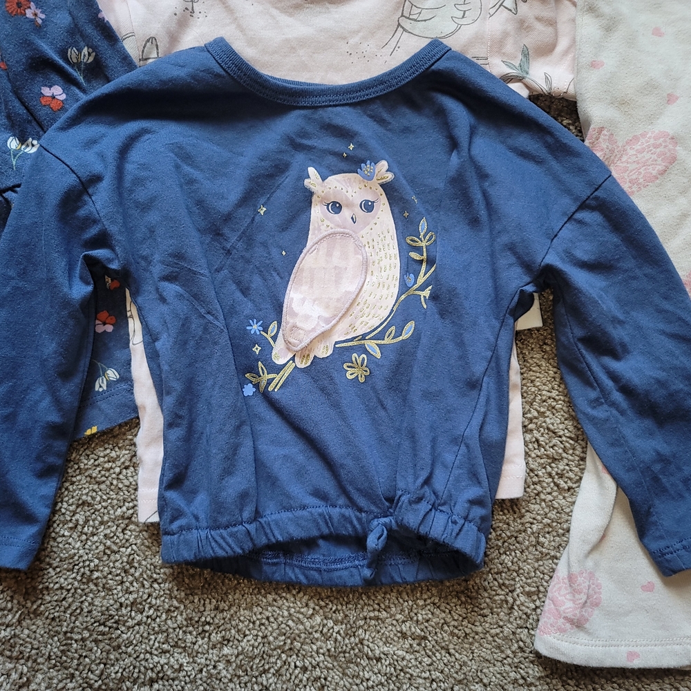 Baby Girl 2T Assorted Baby Clothing Bundle Set - 15 Piece Lot - Picture 6 of 9